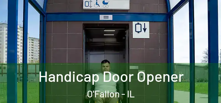 Handicap Door Opener O'Fallon - IL