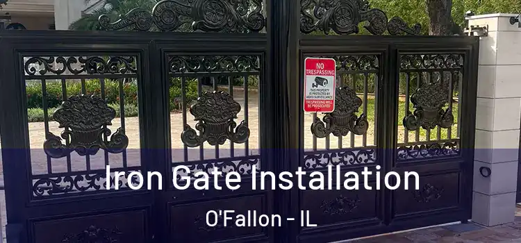 Iron Gate Installation O'Fallon - IL