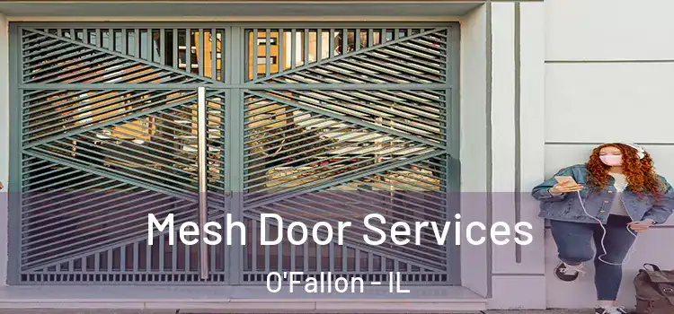 Mesh Door Services O'Fallon - IL