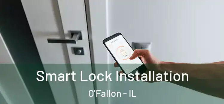 Smart Lock Installation O'Fallon - IL