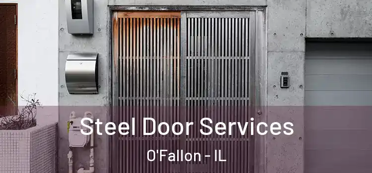 Steel Door Services O'Fallon - IL
